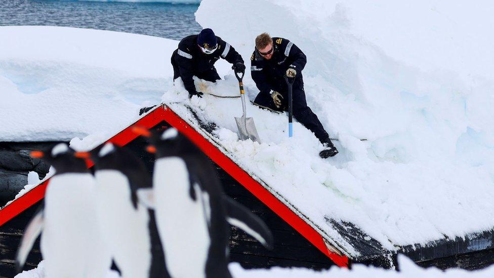 Royal Navy personnel from HMS Protector digging out the Port Lockroy site