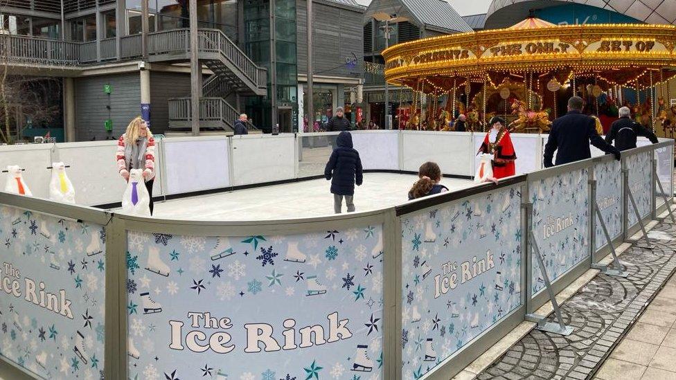 Public using the ice skating rink