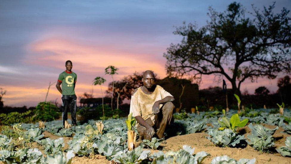 Sanfo Karim is 34 years old. He started his field thanks to a motorpump that allows him to irrigate, Burkina Faso (c) Ollivier Girard/CIFOR