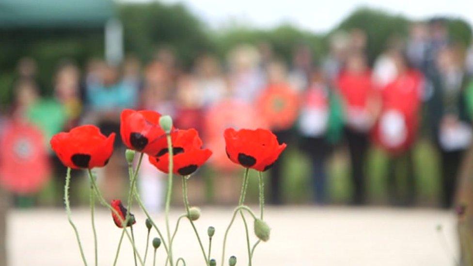 Poppies at Hendre Park Lake