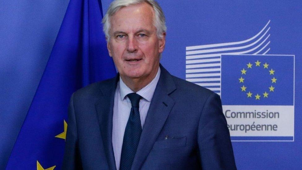 Michel Barnier is the EU's chief Brexit negotiator