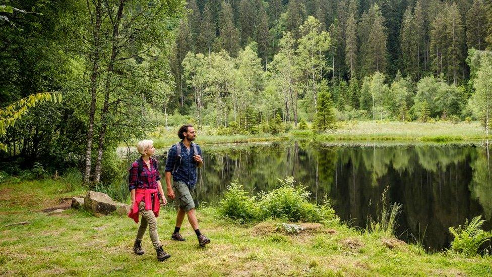 Hiking in Germany