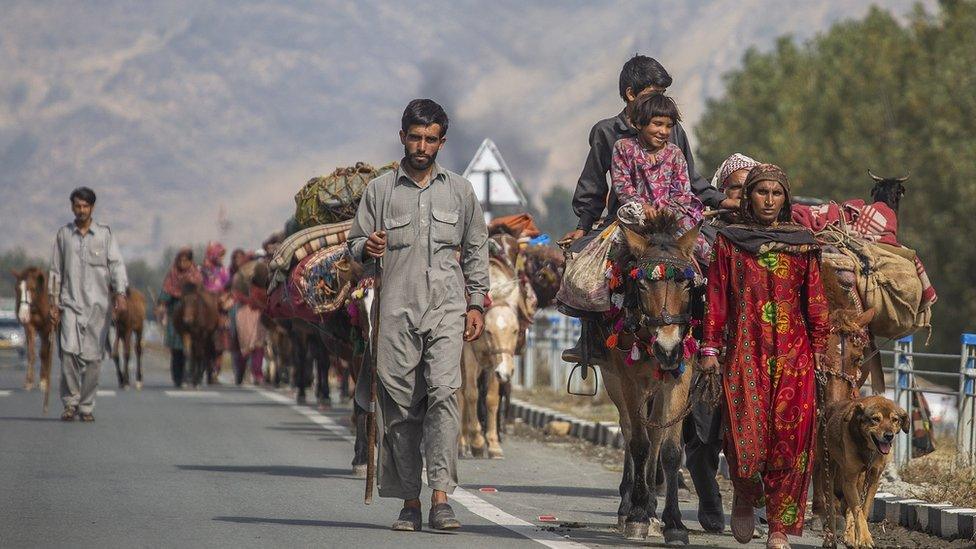 A shepherd walks near the herd of sheep at Tosa Maidan situated in Budgam district in central Kashmir