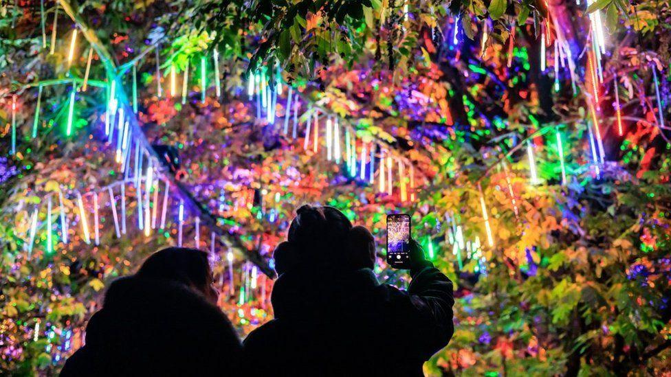 Two people stand with their backs to the camera - one holds a phone up to take a picture of a multi-coloured light display in trees.