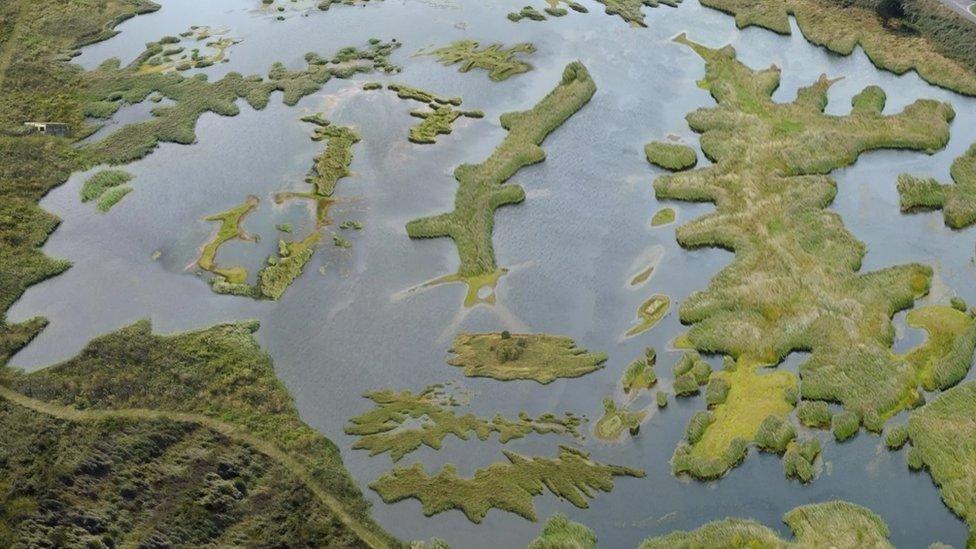 Aerial view of water surrounding grassland and green matter