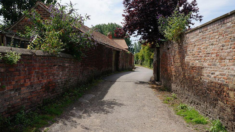 An unpaved lane with red brick walls on both side, and vegetation hanging over the walls,