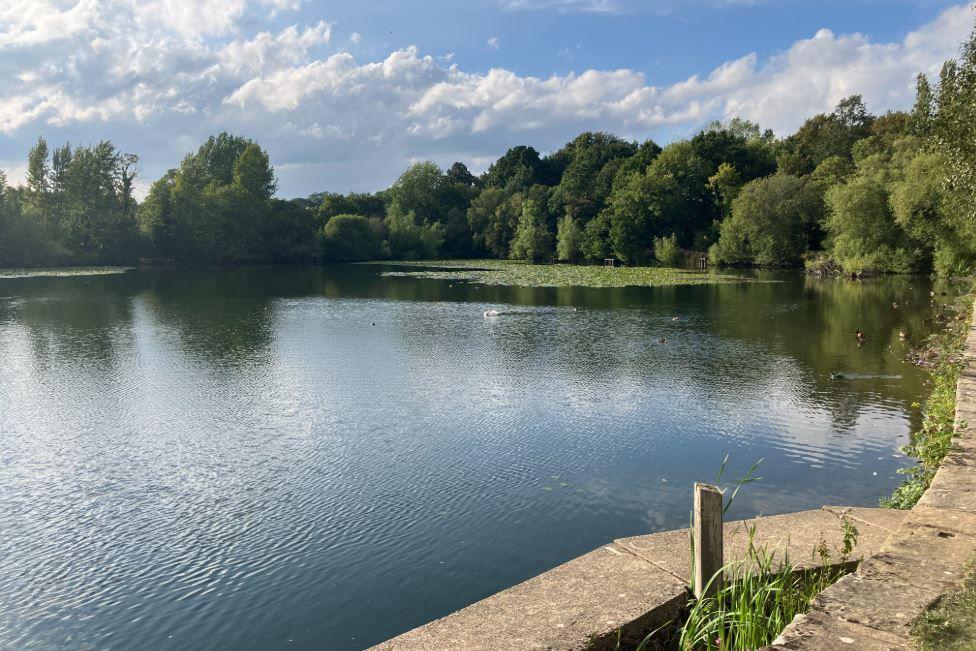 Image of the lido in the sunshine. There are trees around the lake.