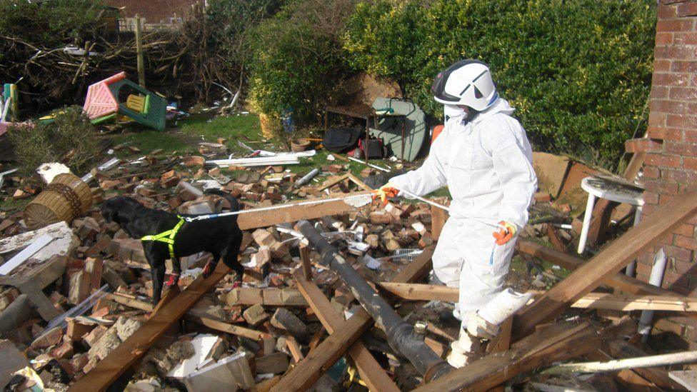 Reqs being walked on the lead by a person wearing a white protective suit, with a helmet. They are walking over rubble at the scene of a house explosion. The rubble, consisting mostly of brick and wood, is in the garden of the property.