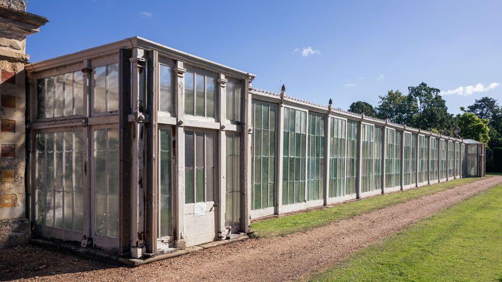 A run of early Victorian white-framed glasshouse against a wall at Somerleyton Hall. The entrance is on the left and its paint is flaking and cracked. The multi-paned glass house runs off to the right. In front of it is grass and a gravel path. Above is blue sky