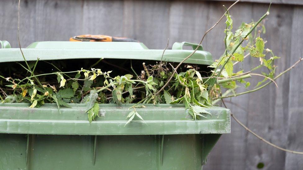 Green bin with leaves poking out of the bin lid