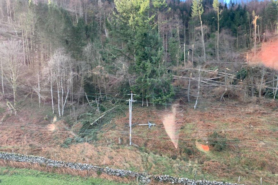 Damaged power lines