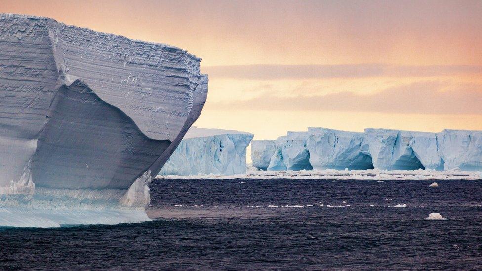 Antarctic icebergs