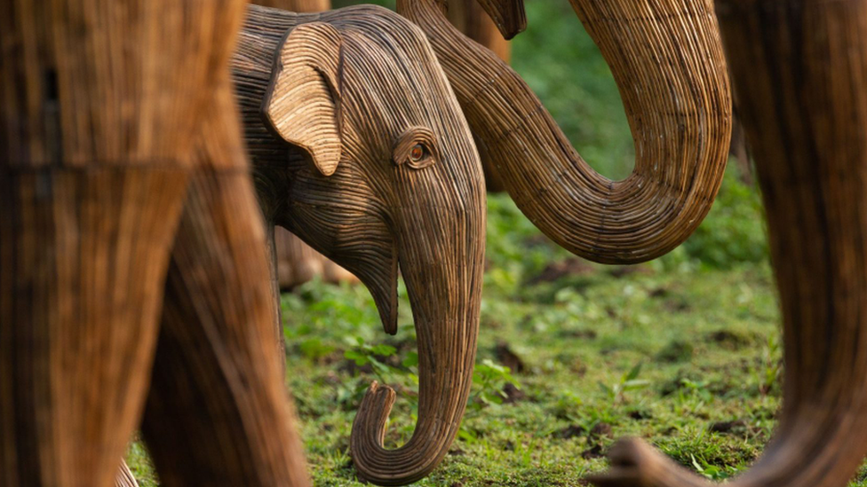 The CoExistence Herd at Sudeley Castle in Gloucestershire