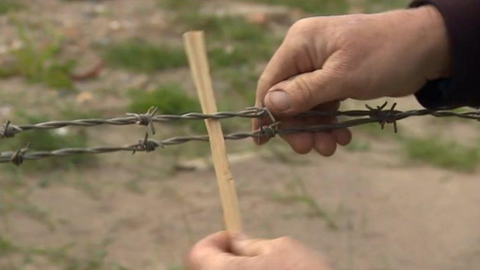 Piece of wooden stick between two lines of barbed wire