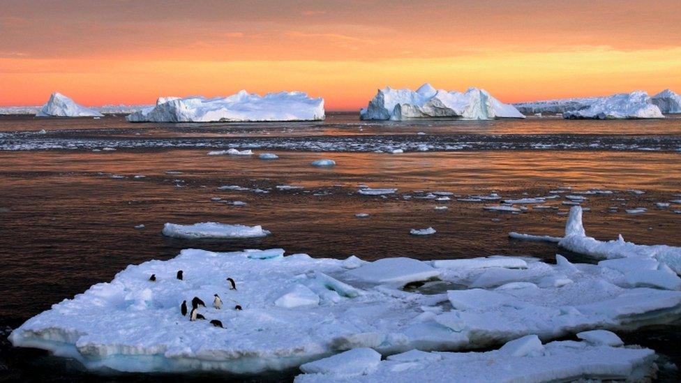 Sunset with floating bits of ice