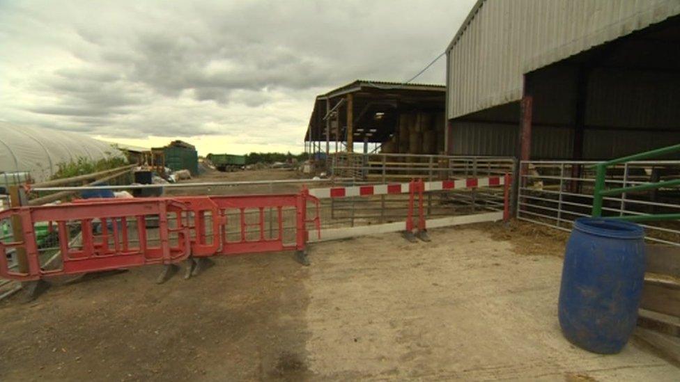 Orange and white barriers cordoning a section of the farm