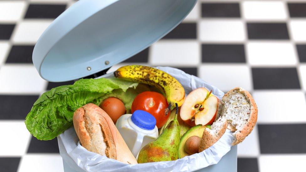 rotting food in bin