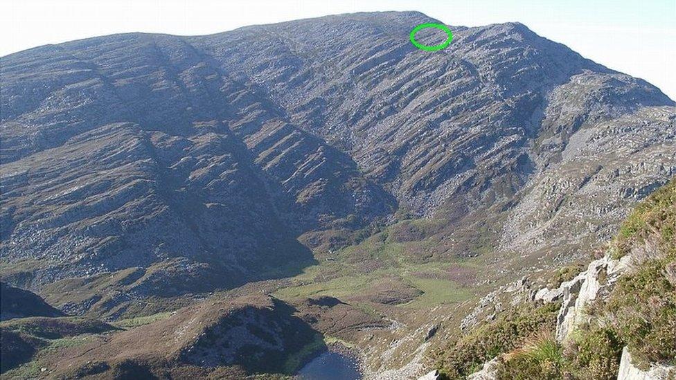 rhinog