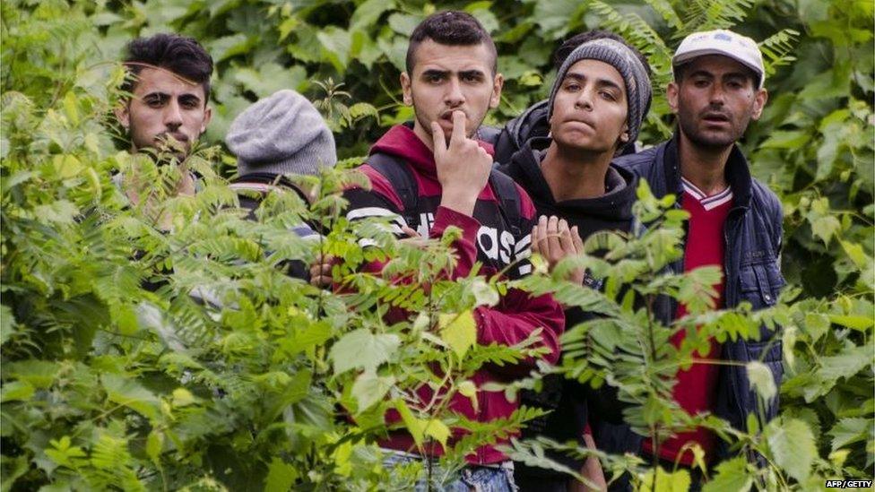 Migrants walk at the green border between Hungary and Serbia near Szeged, Hungary, on June 23, 2015.