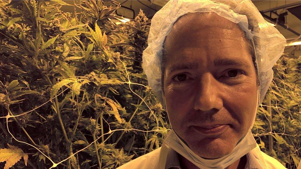 Jonathan Djanogly in weed