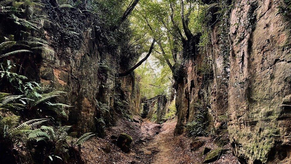 Shute's Lane holloway near Bridport