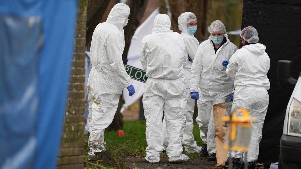 Investigators at the scene of a hit-and-run in Hailsham, East Sussex