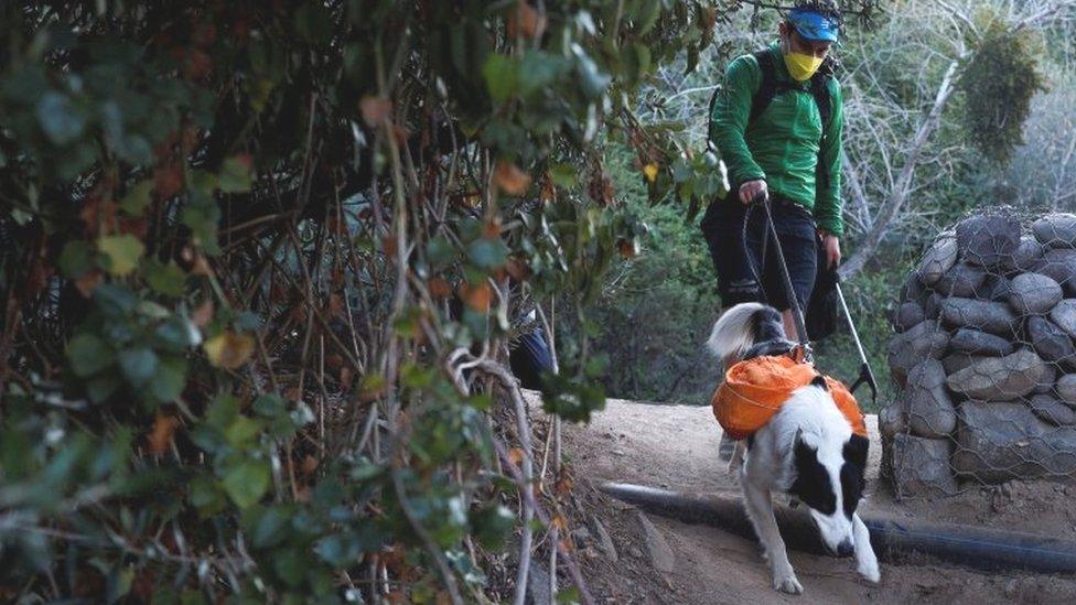 Sam and his owner looking for litter