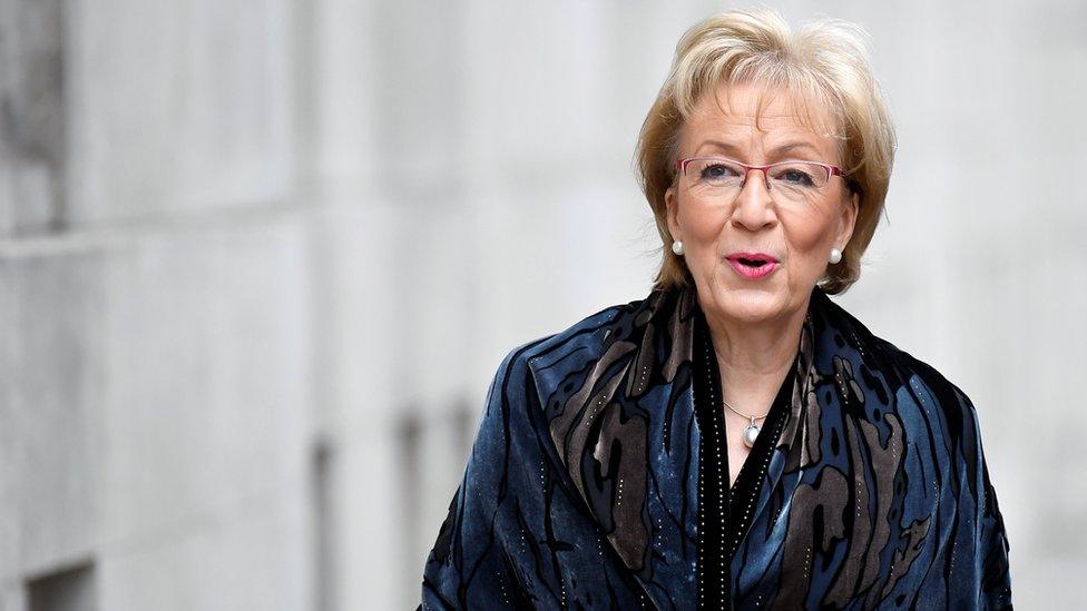 Andrea Leadsom