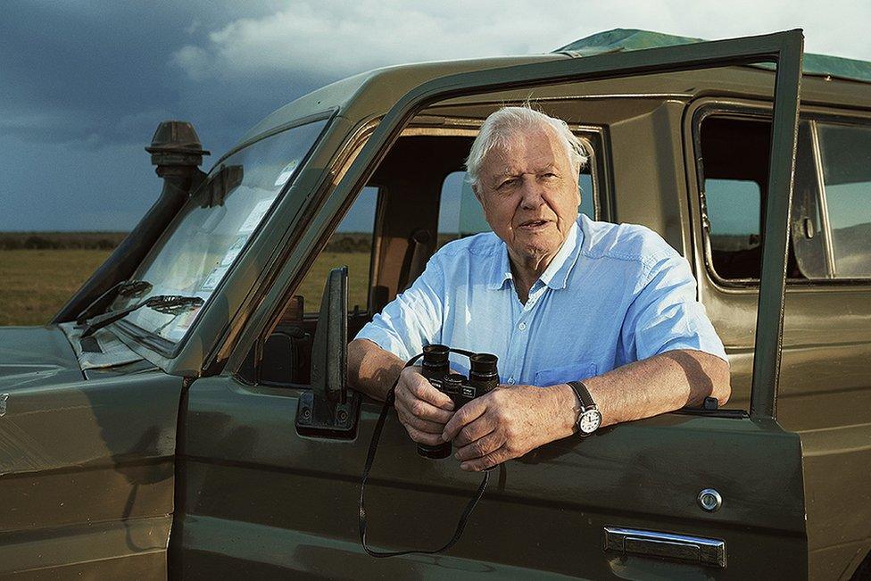 David-Attenborough.