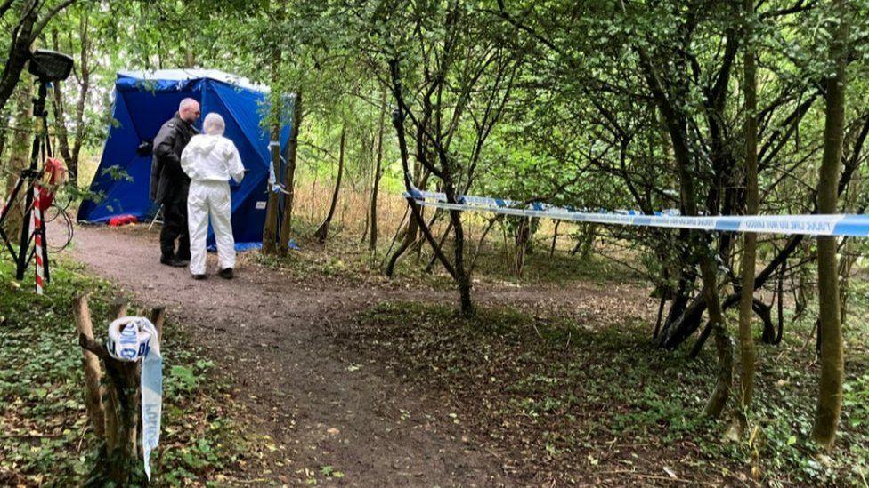 Police tape around a tree stump and stretching along several trees either side of a path. A forensic officer in a white suit and a police officer in a black coat are standing in front of a bright blue police tent to the left, with young green trees in the background