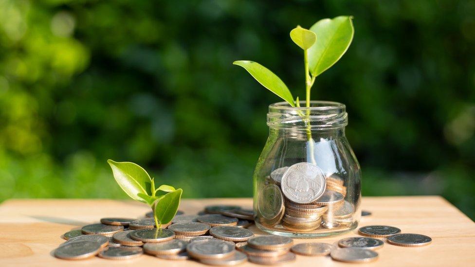 Coins and green shoots in jar