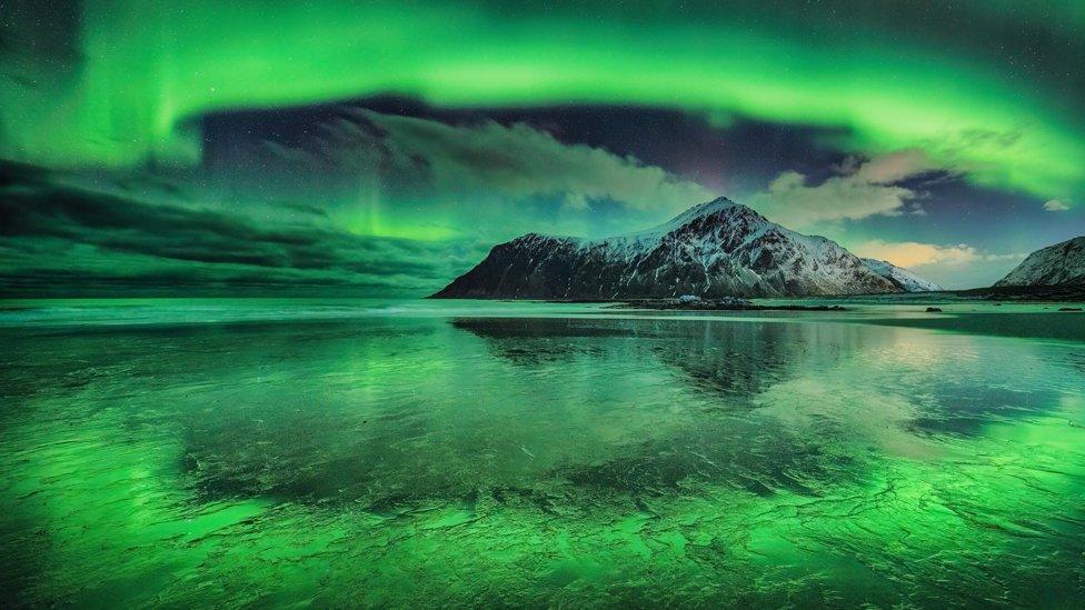 A vivid aurora over Skagsanden beach, Lofoten Islands, Norway.