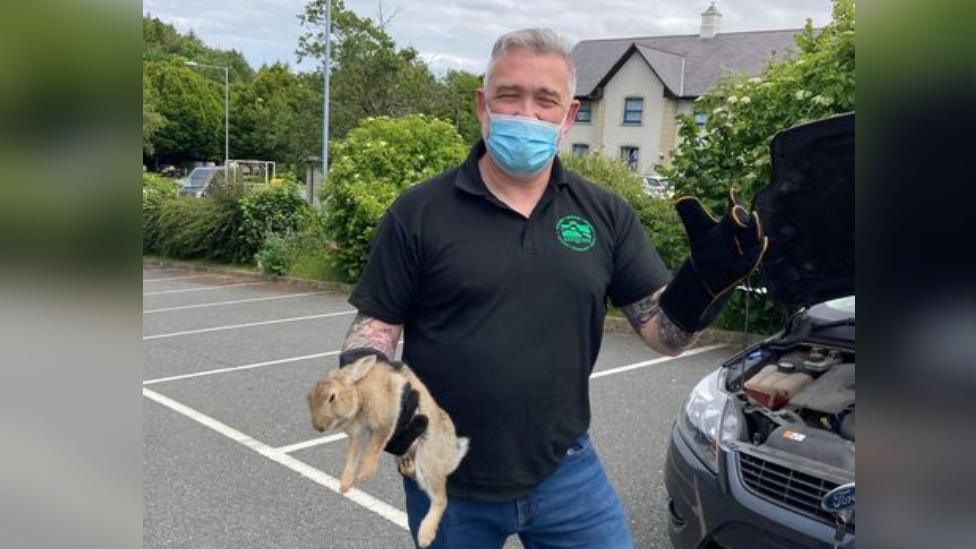 Mark holding rabbit in front of car