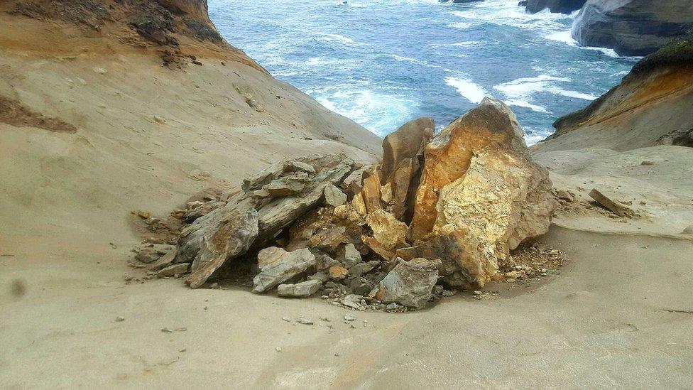 Smashed duckbill rock