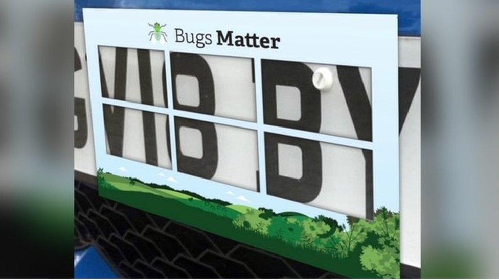 A bugs matter splat measurer on a car number plate