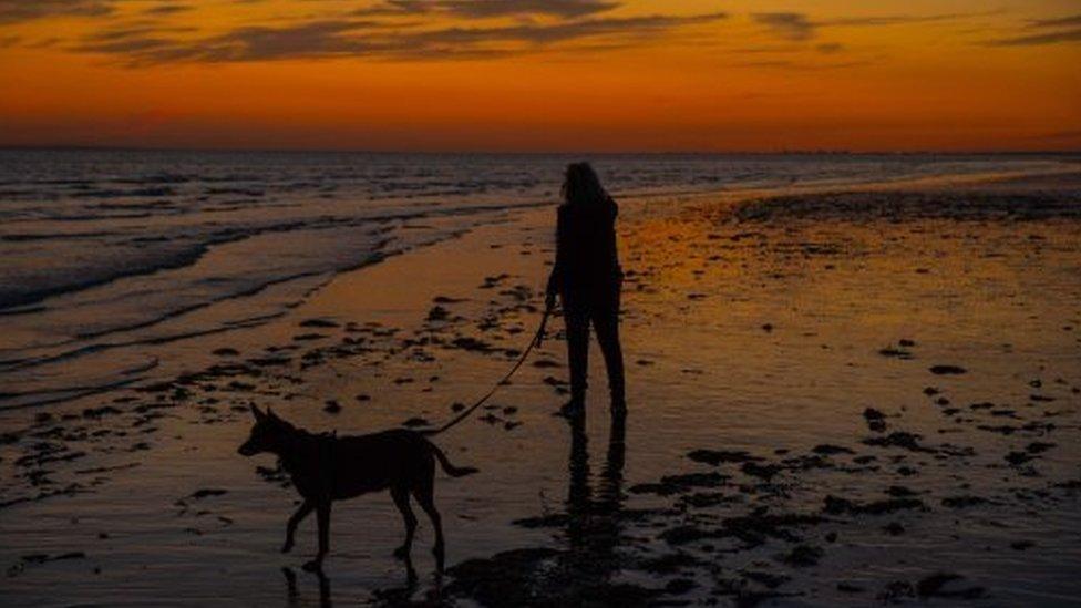 West Sands in West Sussex