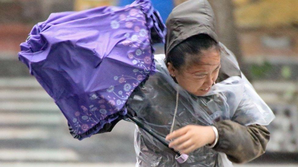 A woman holds an umbrella against the wind and rainfall brought by Typhoon Lekima in Yantai, Shandong