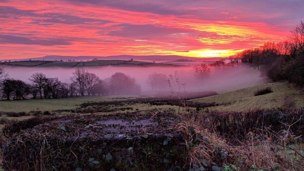 Morning mist in Nantgaredig, Carmarthen