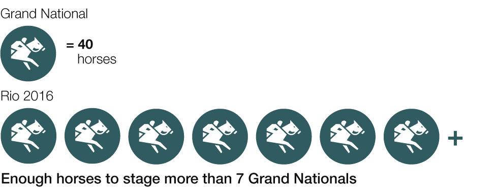 315 horses will be required in Rio - that's enough horses for seven Grand Nationals.