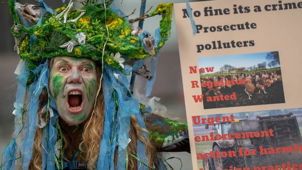 A protestor outside Cardiff Magistrates Court after campaigners took the Environment Agency to court in February 2024 over pollution in the river Wye.  She appears to be shouting and is wearing a costume depicting the river - with blue strands of ribbon in her hair and a headpiece featuring river plants and fish.  She holds a poster saying 'new regulator wanted' and 'urgent enforcement action'. 