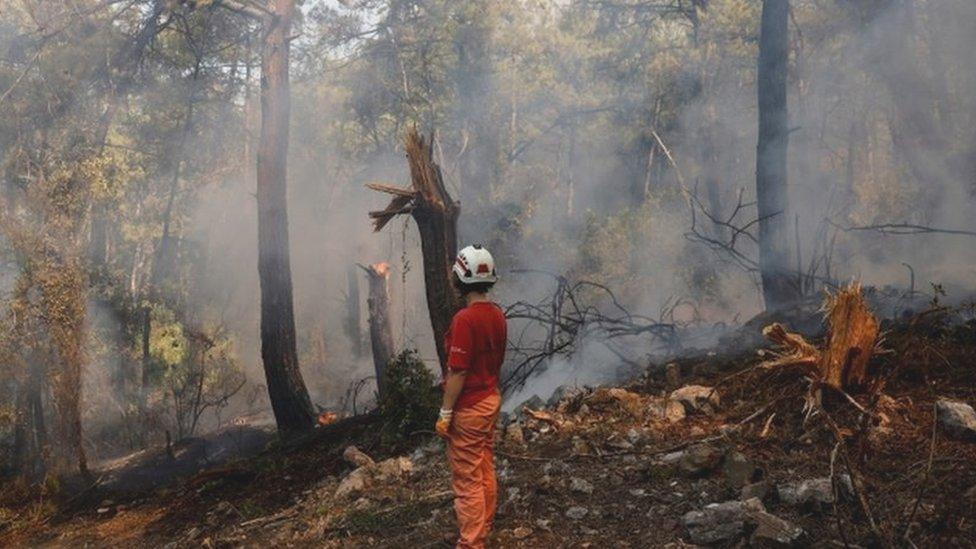 A volunteer stands by a wildfire near Marmaris, Turkey