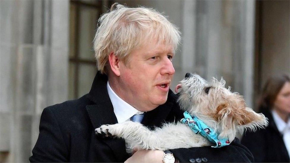 Boris Johnson and dog Dilyn