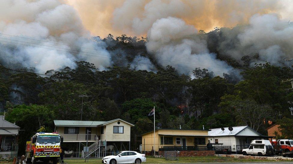 Smoke rises from thick forest behind a row of houses