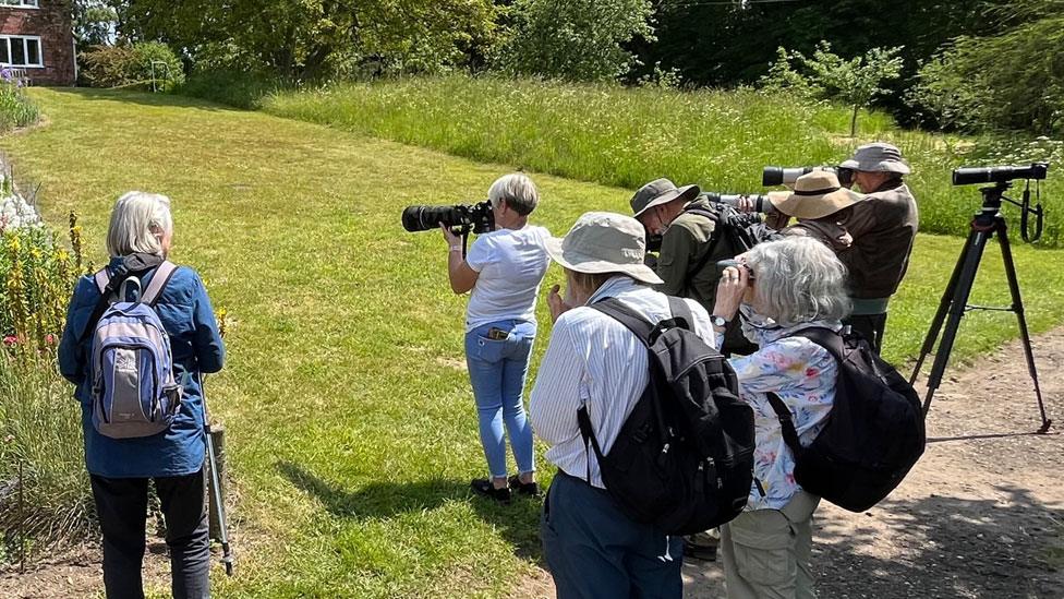 Butterfly enthusiasts, Strumpshaw Fen