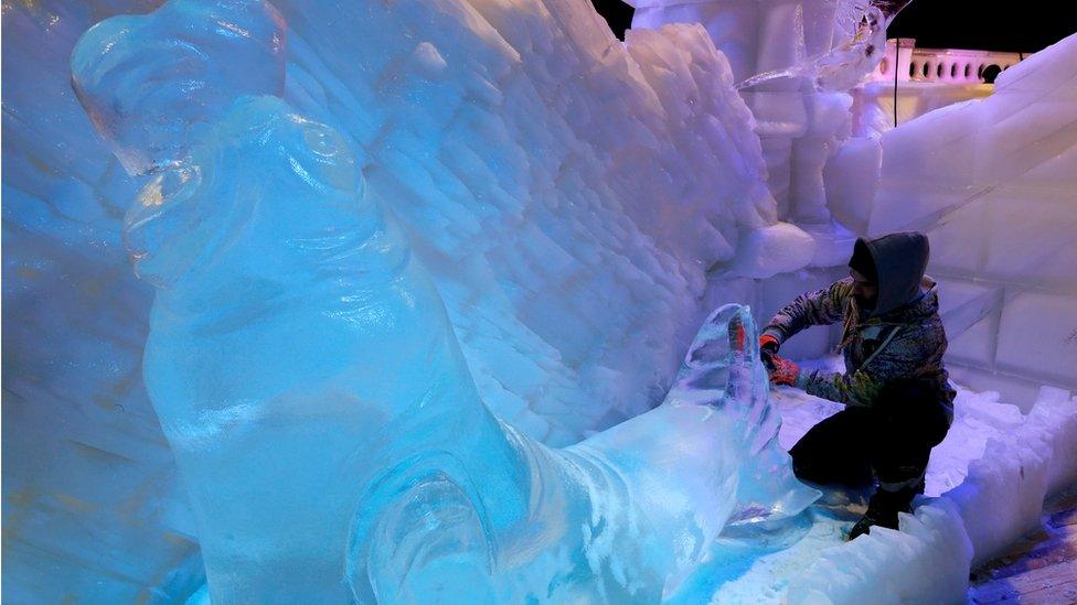 Sea lion made of ice