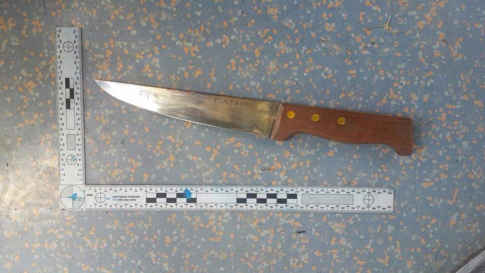 The Israel Police Foreign Press Spokesman tweeted a picture of the knife used in the attack