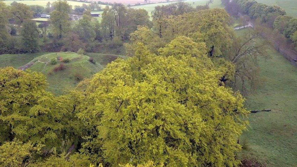 Berkhamsted Castle