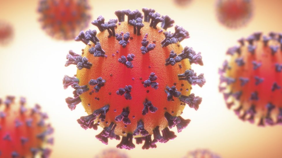 Coronavirus particle illustration.