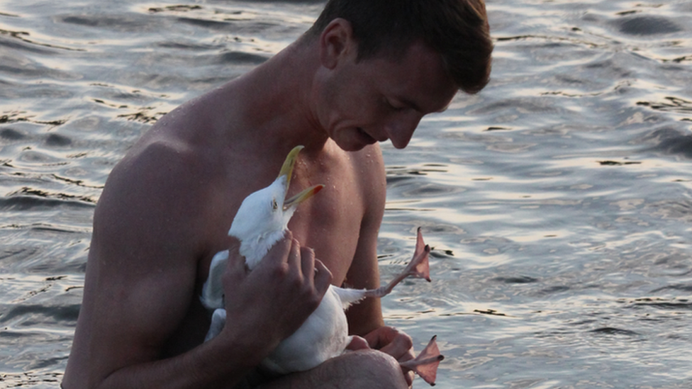 Man holding seagull