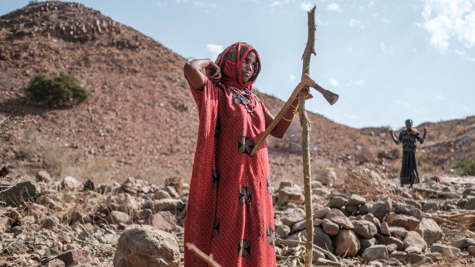 An internally displaced woman cuts wood in the makeshift camp where she is sheltered in the village of Erebti, Ethiopia, on June 09, 2022. - The Afar region, the only passageway for humanitarian convoys bound for Tigray, is itself facing a serious food crisis, due to the combined effects of the conflict in northern Ethiopia and the drought in the Horn of Africa which have notably caused numerous population displacements.